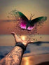 Beautiful Butterfly Freed to Fly